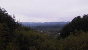 Highlight 2 along the Bikemap route "Clatskanie - Rainier"