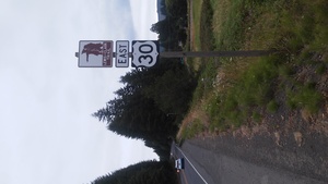 Highlight 1 along the Bikemap route "Clatskanie - Rainier"