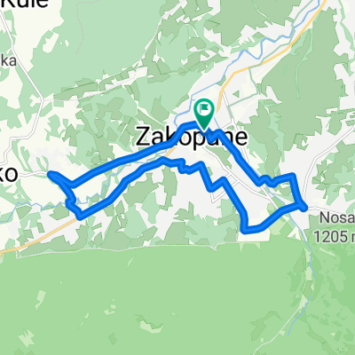 Masa Krytyczna - Pierwsza na Podhalu!