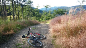 Highlight 21 along the Bikemap route "Groniczek, Głowa konia, Filipka, Łączka" Highlight 21 along the Bikemap route "Groniczek, Głowa konia, Filipka, Łączka"