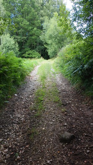 Highlight 8 along the Bikemap route "Groniczek, Głowa konia, Filipka, Łączka" Highlight 8 along the Bikemap route "Groniczek, Głowa konia, Filipka, Łączka"