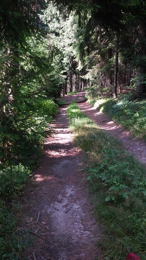 Highlight 9 along the Bikemap route "Groniczek, Głowa konia, Filipka, Łączka" Highlight 9 along the Bikemap route "Groniczek, Głowa konia, Filipka, Łączka"