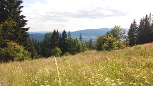 Highlight 15 along the Bikemap route "Groniczek, Głowa konia, Filipka, Łączka" Highlight 15 along the Bikemap route "Groniczek, Głowa konia, Filipka, Łączka"