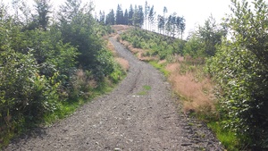 Highlight 20 along the Bikemap route "Groniczek, Głowa konia, Filipka, Łączka" Highlight 20 along the Bikemap route "Groniczek, Głowa konia, Filipka, Łączka"