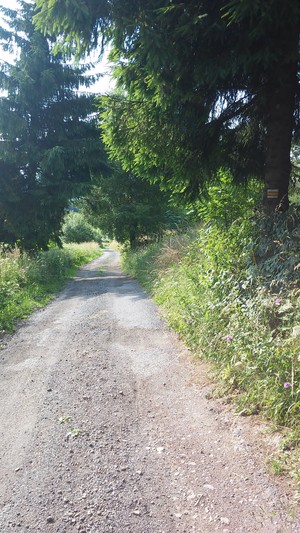 Highlight 25 along the Bikemap route "Groniczek, Głowa konia, Filipka, Łączka" Highlight 25 along the Bikemap route "Groniczek, Głowa konia, Filipka, Łączka"