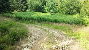 Highlight 13 along the Bikemap route "Groniczek, Głowa konia, Filipka, Łączka" Highlight 13 along the Bikemap route "Groniczek, Głowa konia, Filipka, Łączka"