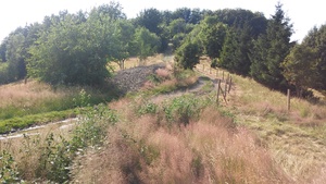 Highlight 22 along the Bikemap route "Groniczek, Głowa konia, Filipka, Łączka" Highlight 22 along the Bikemap route "Groniczek, Głowa konia, Filipka, Łączka"