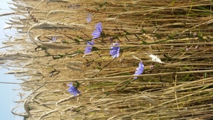 Atrakcja 1 na trasie Bikemap „Gailoh” Atrakcja 1 na trasie Bikemap „Gailoh”