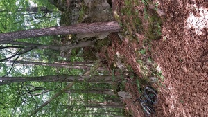 Atrakcja 3 na trasie Bikemap „Gailoh” Atrakcja 3 na trasie Bikemap „Gailoh”