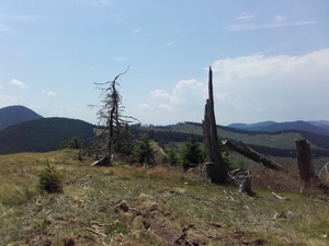 Hebe Bild 1 entlang der Bikemap-Route "pasul pangarati, cheile bicazului 19 iulie" hervor