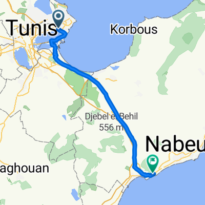 Tunis - Hammamet