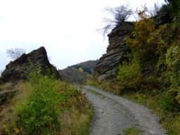 Hebe Bild 3 entlang der Bikemap-Route "Ahrbrück_Königswinter" hervor