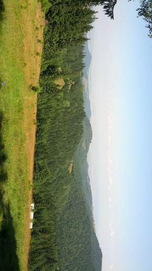 Hebe Bild 3 entlang der Bikemap-Route "Pastviny - Rășinari" hervor