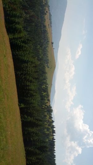 Hebe Bild 7 entlang der Bikemap-Route "Pastviny - Rășinari" hervor