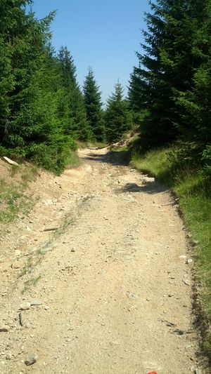 Hebe Bild 6 entlang der Bikemap-Route "Pastviny - Rășinari" hervor