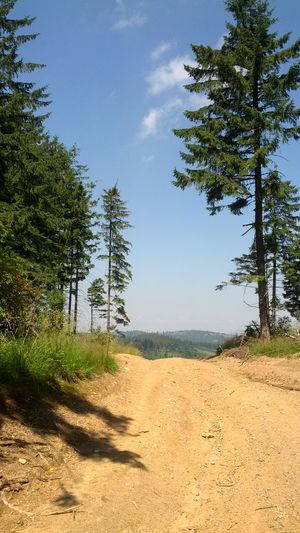 Hebe Bild 1 entlang der Bikemap-Route "Pastviny - Rășinari" hervor