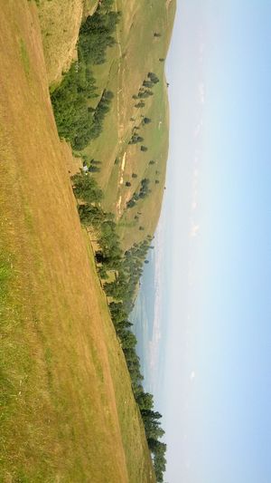 Hebe Bild 12 entlang der Bikemap-Route "Pastviny - Rășinari" hervor