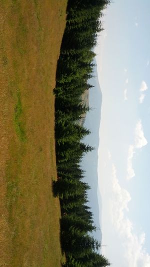 Hebe Bild 4 entlang der Bikemap-Route "Pastviny - Rășinari" hervor