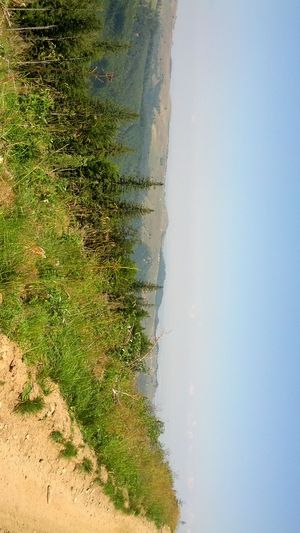 Hebe Bild 2 entlang der Bikemap-Route "Pastviny - Rășinari" hervor