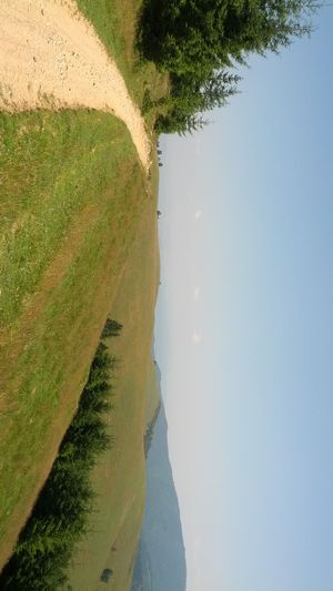 Hebe Bild 8 entlang der Bikemap-Route "Pastviny - Rășinari" hervor