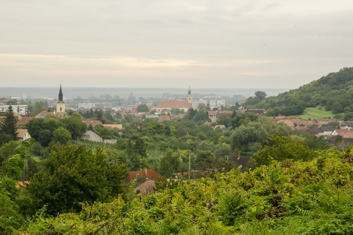 Szekszárdi Borkör III.