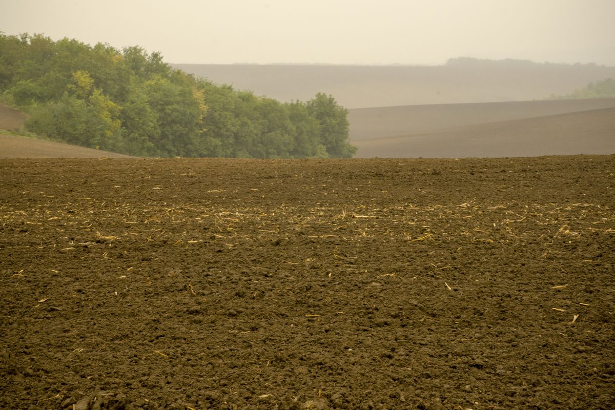 Szekszárdi Borkör III.