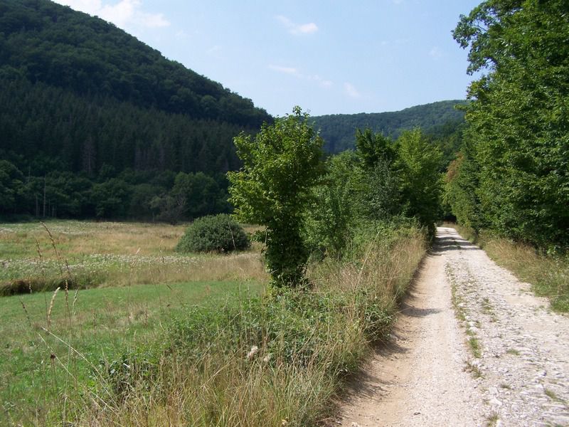 Bükki túra
