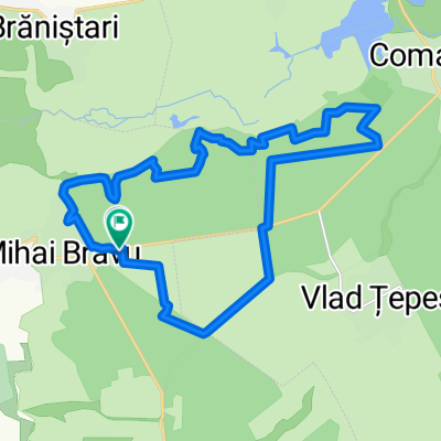 Dumbrava cu Margaritar 2015 - 21K