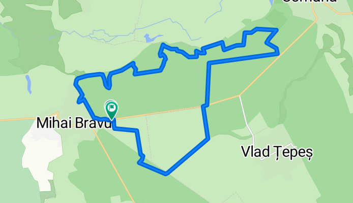 Dumbrava cu Margaritar 2015 - 21K