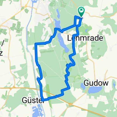 Brunsmark-Güster