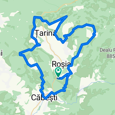 Maraton Padurea Craiului 2015 - traseu scurt