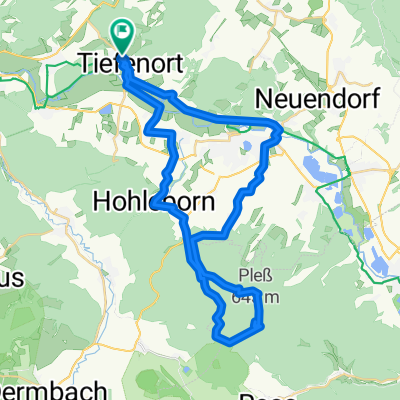 Plessrunde