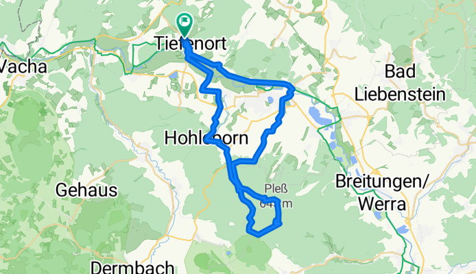 Plessrunde