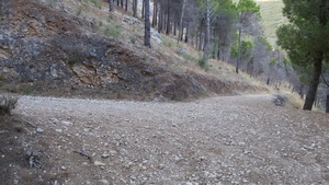 Point fort 1 sur l’itinéraire Bikemap «  Salita orecchiuta su Monte Grifone e discesa da Monte Greco e Valle del Fico »
