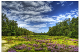 Hebe Bild 1 entlang der Bikemap-Route "Schöne Feierabendrunde" hervor