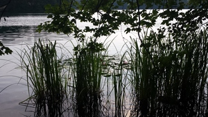 Hebe Bild 5 entlang der Bikemap-Route "Ahrensfelde-Liepnitzsee-Bernau-Ahrensfelde" hervor