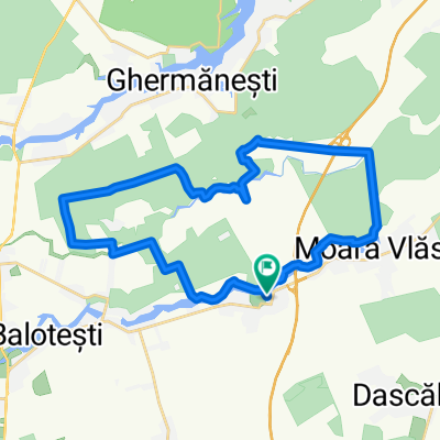 Caciulati - padurea Snagov - Moara Vlasiei - Caciulati