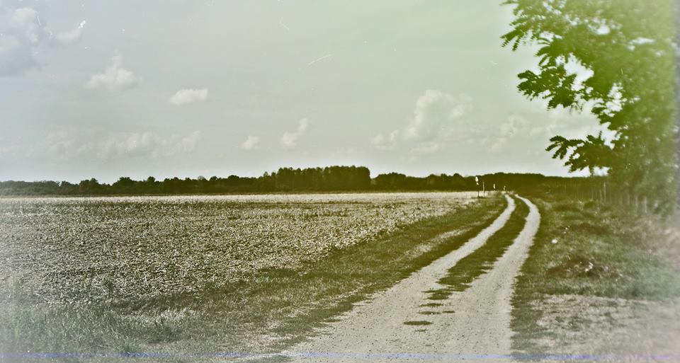 Fehérgyarmat 81km