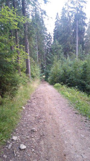 POI Foto 2: Wiesław