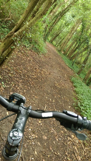 Hebe Bild 3 entlang der Bikemap-Route "Summerfield Court - Beech Rise" hervor