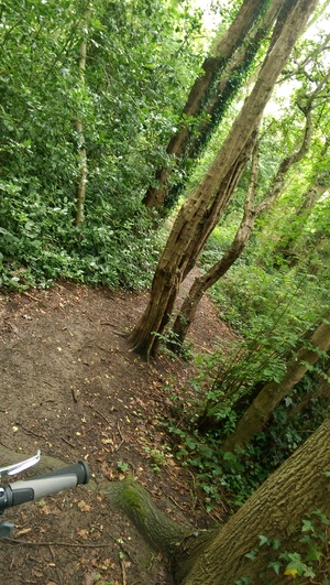 Hebe Bild 2 entlang der Bikemap-Route "Summerfield Court - Beech Rise" hervor