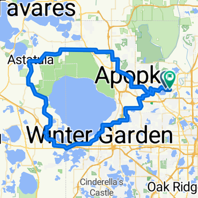 Around the lake