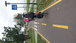 Highlight 4 along the Bikemap route "Velencei - tó kerülés "