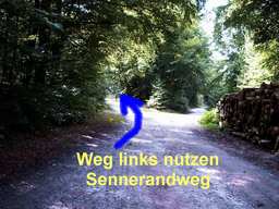 Hebe Bild 11 entlang der Bikemap-Route "MTB Teutoburgerwald" hervor