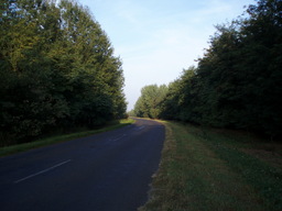 Hebe Bild 7 entlang der Bikemap-Route "Ceglédbercel-Budai út-Cegléd-Csemő-Hantháza-Pusztavacs-Dánszentmiklós-Albertirsa-Bercelcity" hervor