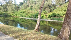 Hebe Bild 4 entlang der Bikemap-Route "Na kawę nad Odrę do S.B." hervor Hebe Bild 4 entlang der Bikemap-Route "Na kawę nad Odrę do S.B." hervor