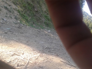 Highlight 1 along the Bikemap route "urcare si coborare balaceanu"