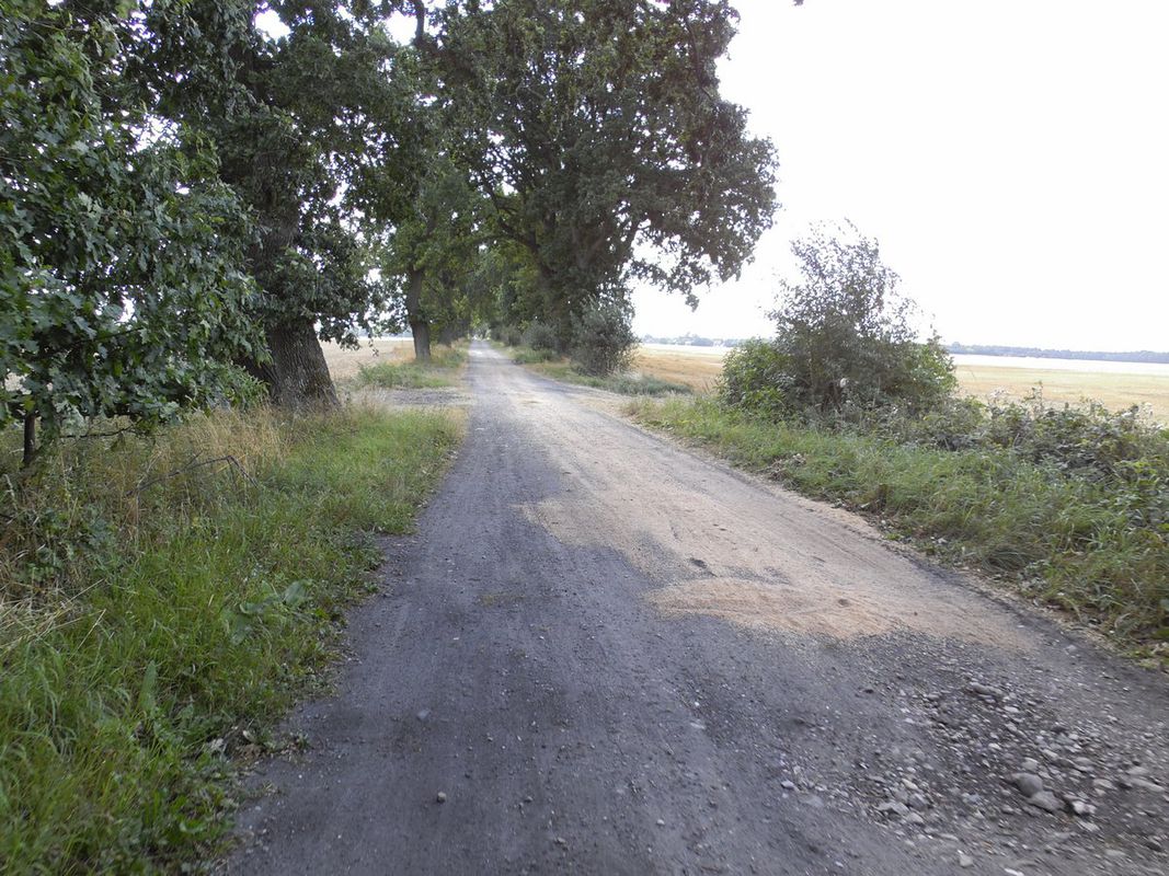 Pierścień Gryfitów cz. płd.-zach.