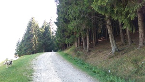 Highlight 5 along the Bikemap route "vidraru - asfalt si teren accidentat "