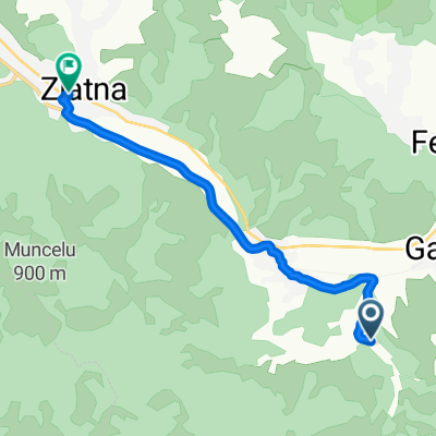 Valea Micã - Zlatna